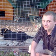Александр 34 года (Дева) на сайте знакомств Мглина