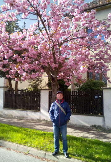 Моя фотография - валера, 55 из Прага (@valera18343)