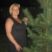 Елена, 52, Лосино-Петровский