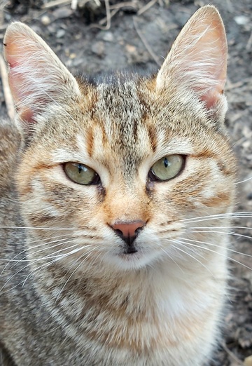 Serge (@serj32081) — my photo № 35