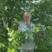 Татьяна, 61, Солнечногорск