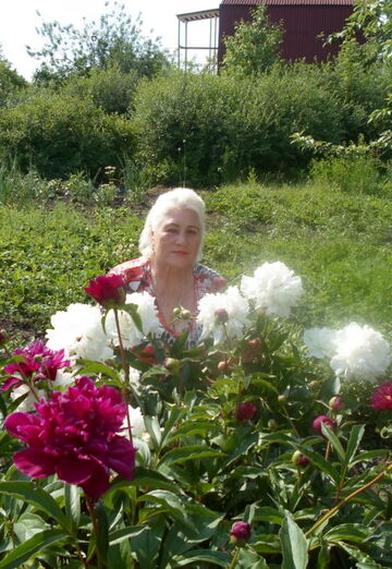 Моя фотография - Валентина, 80 из Омск (@valentina8425556)