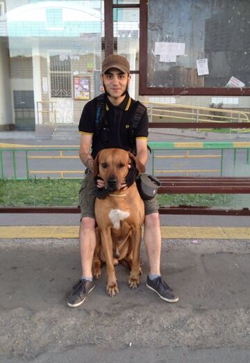 Shirhan (@-shirkhan-) — my photo № 5