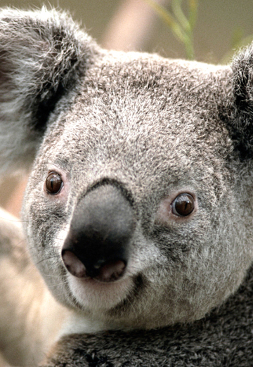 alinka (@alinka4328) — my photo № 2