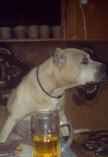 VIKTOR (@viktor2689) — my photo № 4