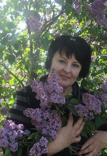 Моя фотография - Ирина, 65 из Белореченск (@irina6273699)