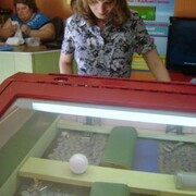 Наташа, 37, Сосновоборск