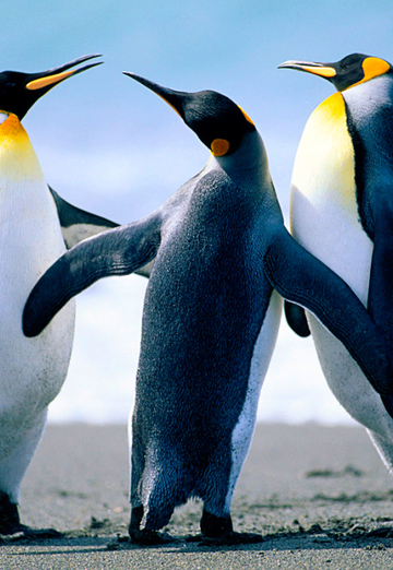 alinka (@alinka4328) — my photo № 3