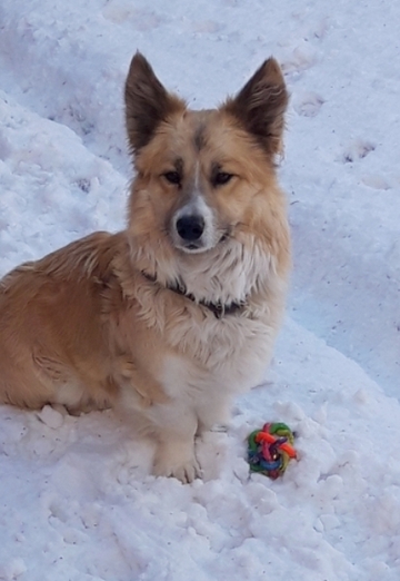 Dmitriy (@dmitriy574803) — my photo № 5