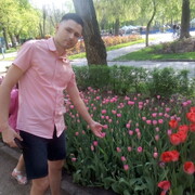 Дмитрий, 37, Облучье