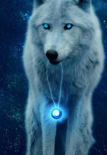 Murat (@murat20579) — my photo № 9