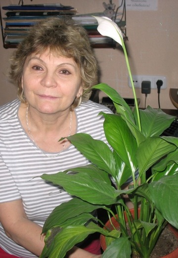 My photo - Lyudmila, 72 from Minsk (@ludmila57347)