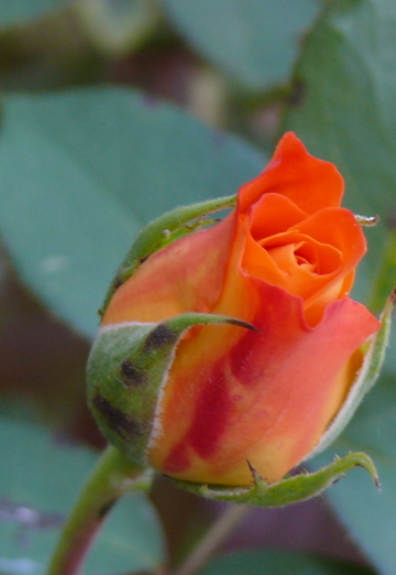 sergey (@sergey184545) — my photo № 8