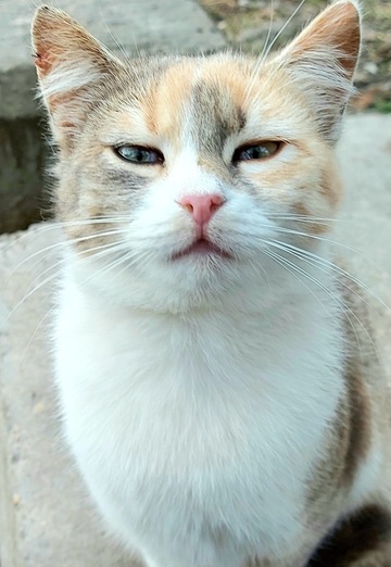 Serge (@serj32081) — my photo № 36