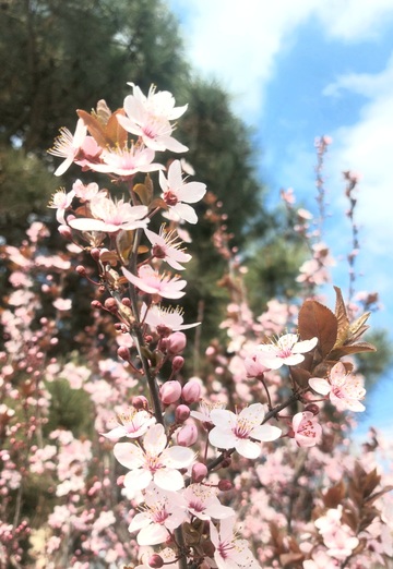 Serge (@serj32081) — my photo № 23
