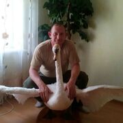 Алексей, 37, Капустин Яр