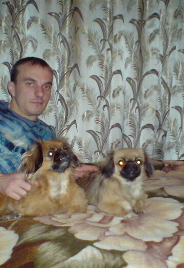 My photo - segey, 38 from Dobroslav (@segey529)