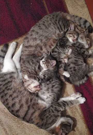 Asif (@asif1516) — my photo № 9