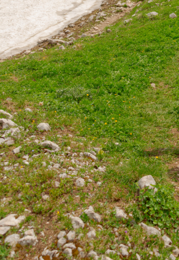 Gennadiy (@gennadiy44953) — my photo № 18
