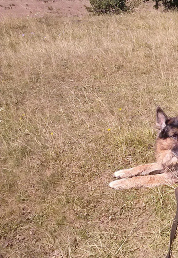 Lelik123 (@lelik12323) — my photo № 4