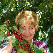 Елена, 65, Красный Сулин