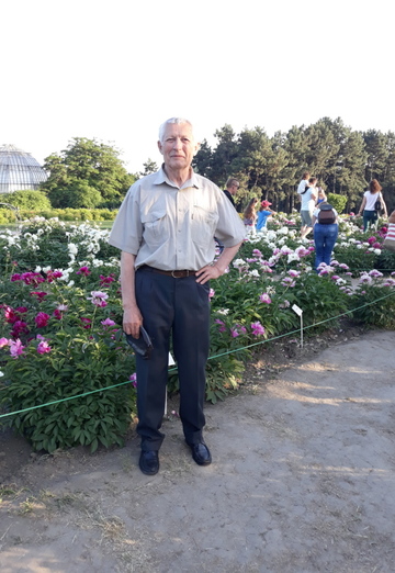 My photo - Vladimir, 81 from Kyiv (@vladimir260462)