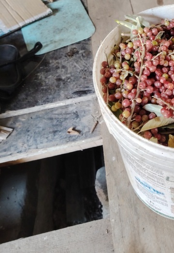 SAShA (@sasha96943) — my photo № 2