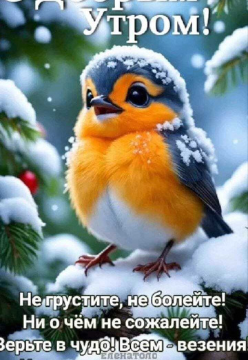 Anatoliy (@anatoliy113635) — my photo № 4
