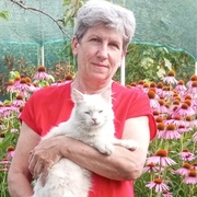 Елена, 57, Донецк