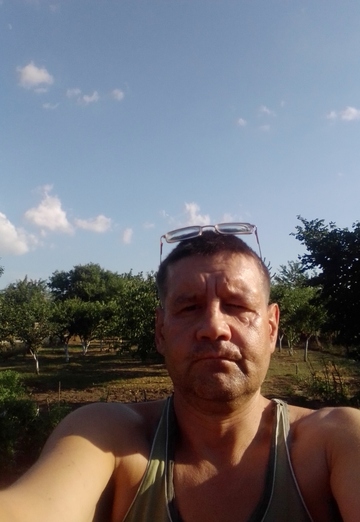 Моя фотография - Дмитрий, 55 из Ростов-на-Дону (@dmitriy422601)
