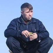 Dimazawr, 48, Никель