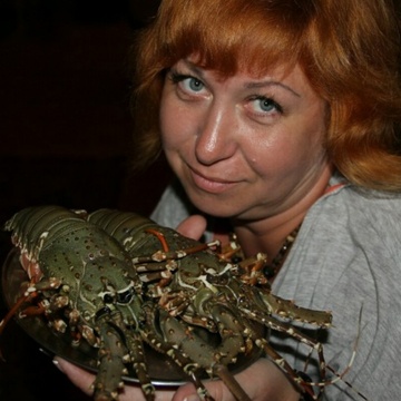 Моя фотография - Людмила, 48 из Нижний Новгород (@ludmila29393)