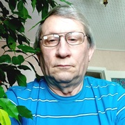 Вик, 66, Петровское