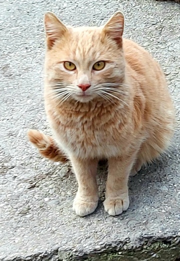 Serge (@serj32081) — my photo № 28