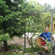 Алексей, 43, Верейка