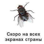 Владимир (@programm2402) — моя фотография № 2