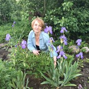 Cветлана, 54, Опочка