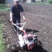 Андрей, 55, Елань