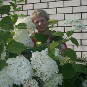 ВАЛЕНТИНА, 62, Мглин