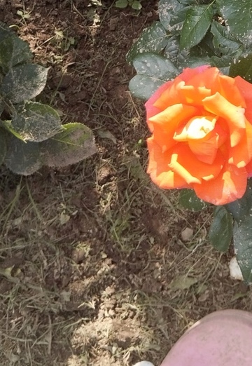 Irina (@irina414211) — my photo № 17