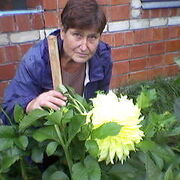 людмила, 74, Богородск