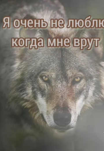 Olga (@olga377052) — my photo № 26