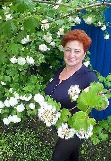 Моя фотография - Валентина, 77 из Белгород (@valentina36656)