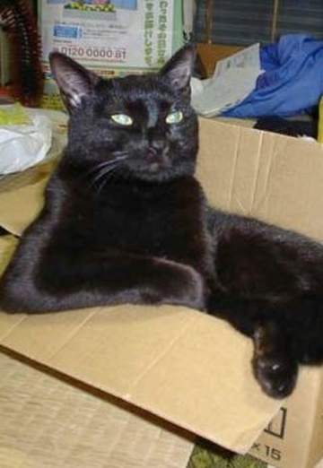 Aleksandr (@laskun) — my photo № 4