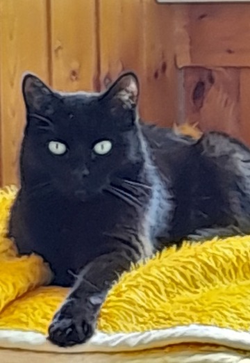 Grigoriy (@grigoriy32831) — my photo № 3