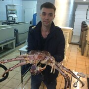 Андрей, 37, Фрязино
