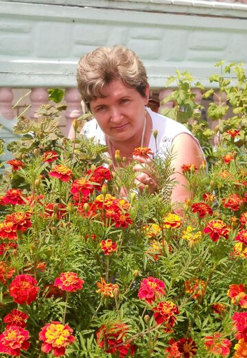 My photo - Vera, 66 from Berdichev (@vera35738)