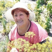 Галина, 63, Валуйки