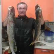 серый, 54, Нолинск