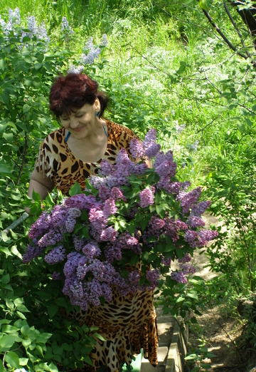My photo - gloriy, 67 from Zaporizhzhia (@id661919)